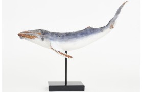 Figura ballena