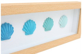 Marine Shells Picture